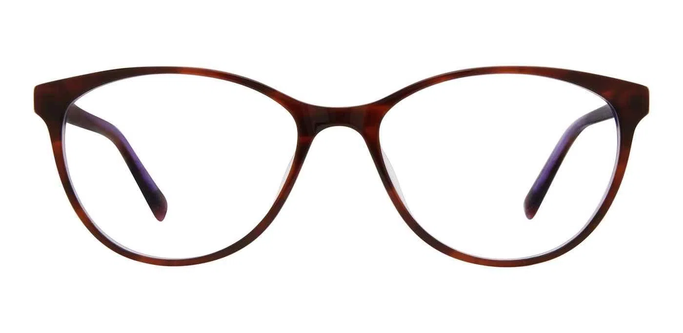 Adensco 234 Eyeglasses - view 10